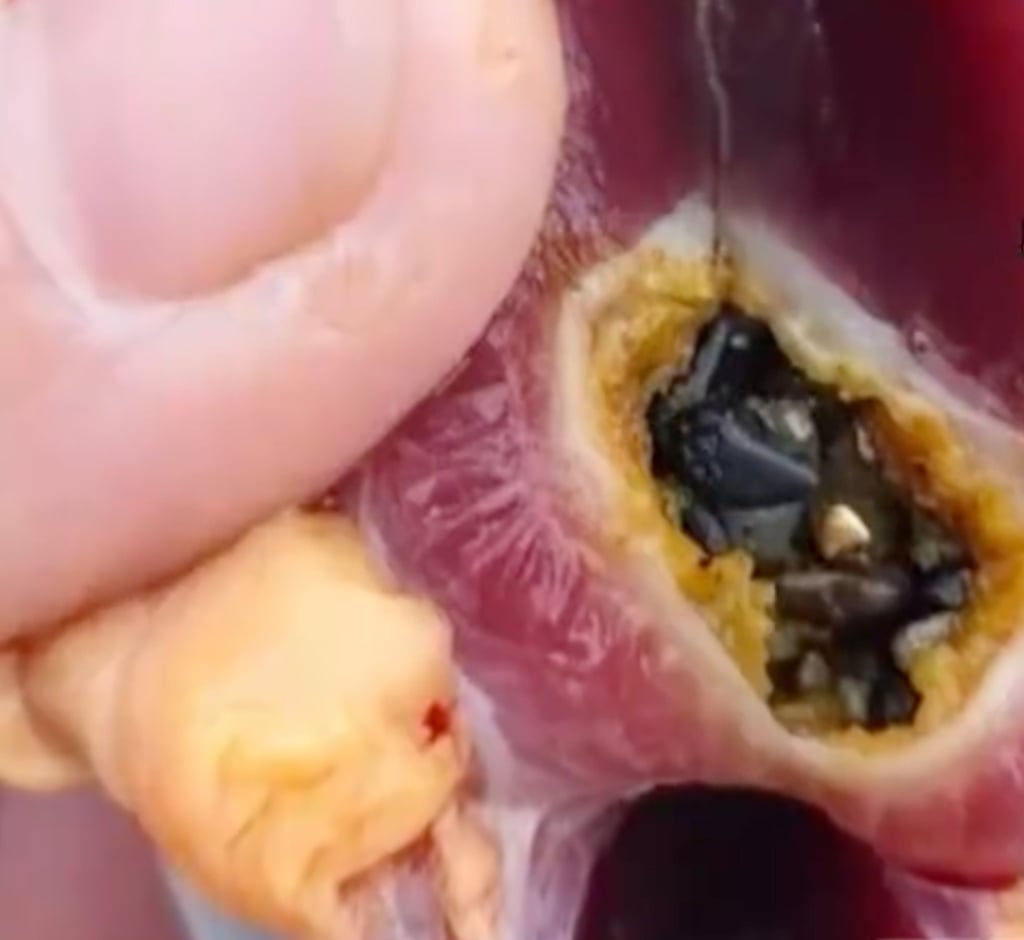 Mổ vịt ph&aacute;t hiện v&agrave;ng thật trong dạ d&agrave;y: C&acirc;u chuyện lạ ở Trung Quốc g&acirc;y b&atilde;o mạng x&atilde; hội- Ảnh 2.