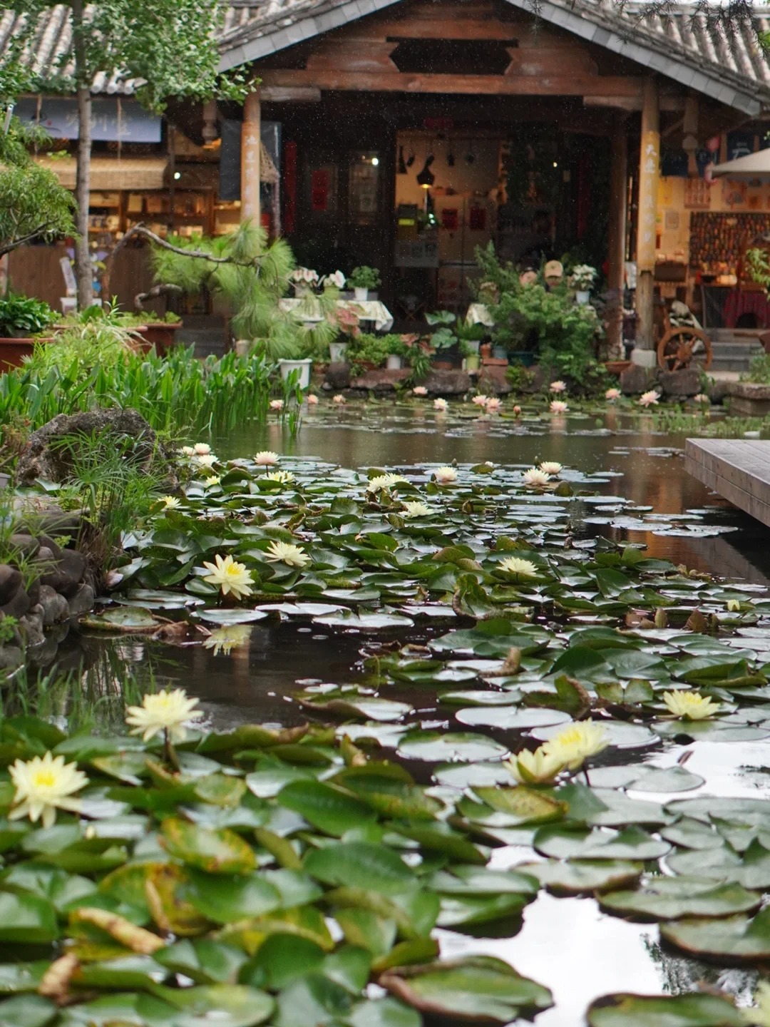 Ly h&ocirc;n ở tuổi 41, sở hữu 5 căn nh&agrave; v&agrave; 19 tỷ tiết kiệm: Lời cảnh tỉnh th&acirc;m th&uacute;y từ mẹ đơn th&acirc;n d&agrave;nh cho hội chị em mộng mơ "bỏ việc để l&agrave;m tự do"- Ảnh 13.