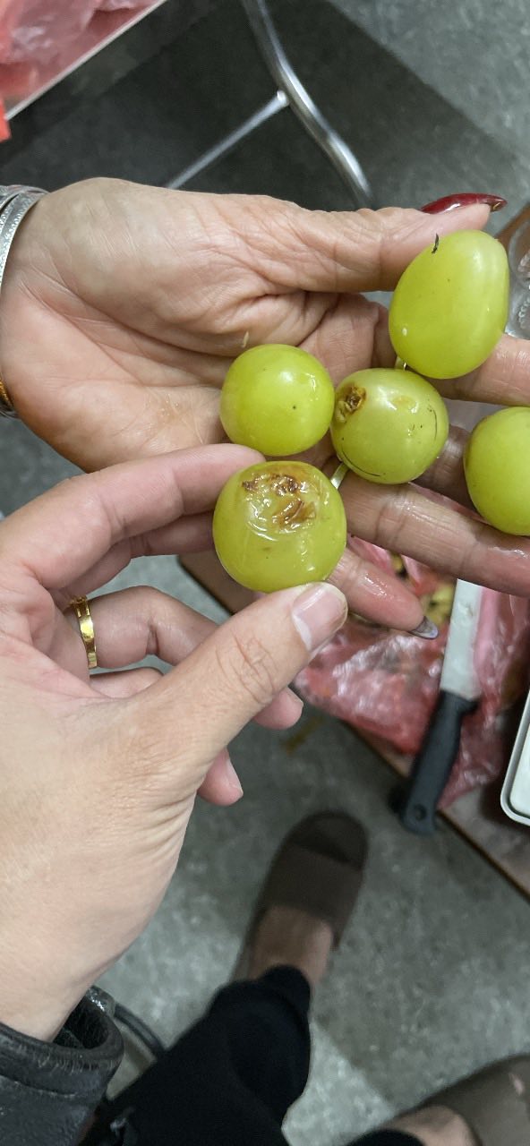 Đặt tr&aacute;p cưới 11,5 triệu nhưng nhận về to&agrave;n hoả quả thối rữa, ch&uacute; rể phải xin lỗi bố mẹ vợ: Ph&iacute;a dịch vụ n&oacute;i g&igrave;?- Ảnh 6.