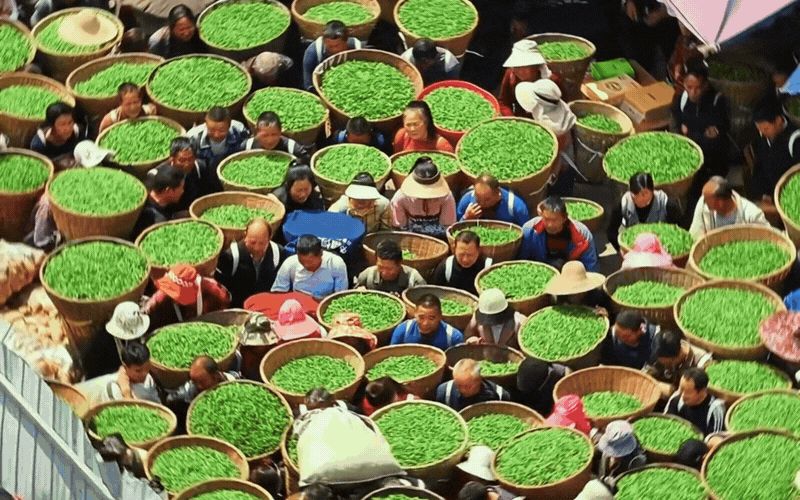 Lạc v&agrave;o phi&ecirc;n chợ lạ kỳ nhất th&aacute;ng 4: H&agrave;ng ng&agrave;n "chiếc l&aacute; sen" biết chạy tr&ecirc;n phố để đổi ch&aacute;c l&uacute;c 1 giờ chiều- Ảnh 1.