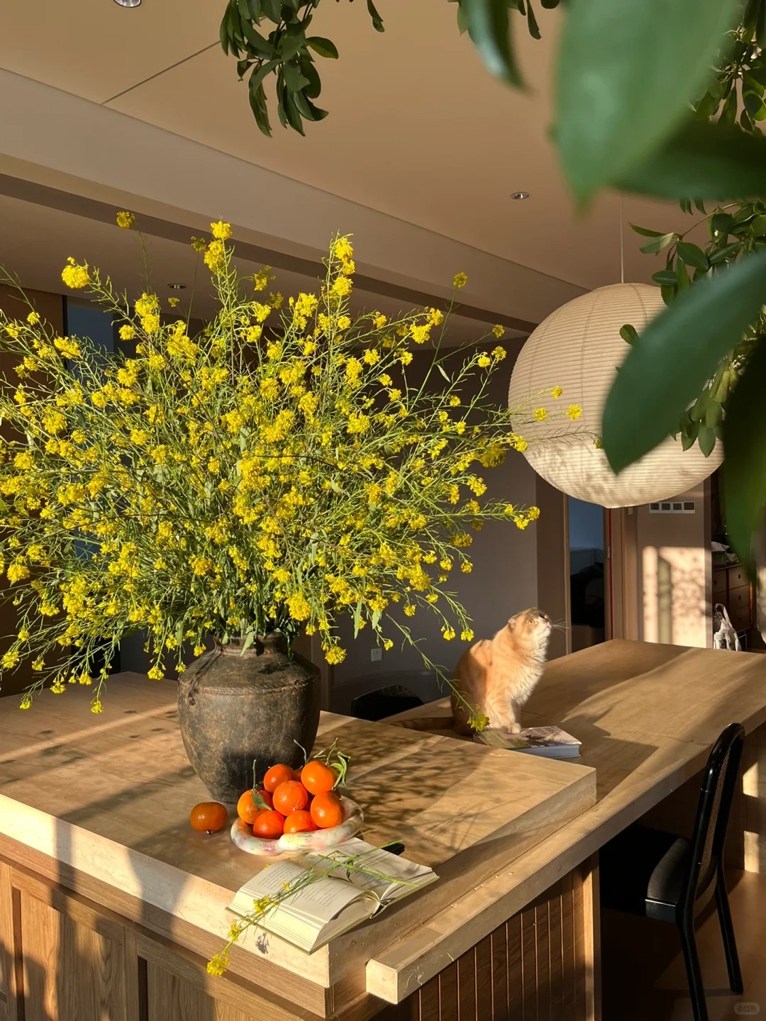 Th&aacute;ng 3 rước lộc v&agrave;o nh&agrave;: Tr&agrave;o lưu cắm hoa cải v&agrave;ng gi&uacute;p kh&ocirc;ng gian bừng s&aacute;ng, gom hết b&igrave;nh y&ecirc;n tuổi thơ v&agrave;o một g&oacute;c ph&ograve;ng- Ảnh 13.