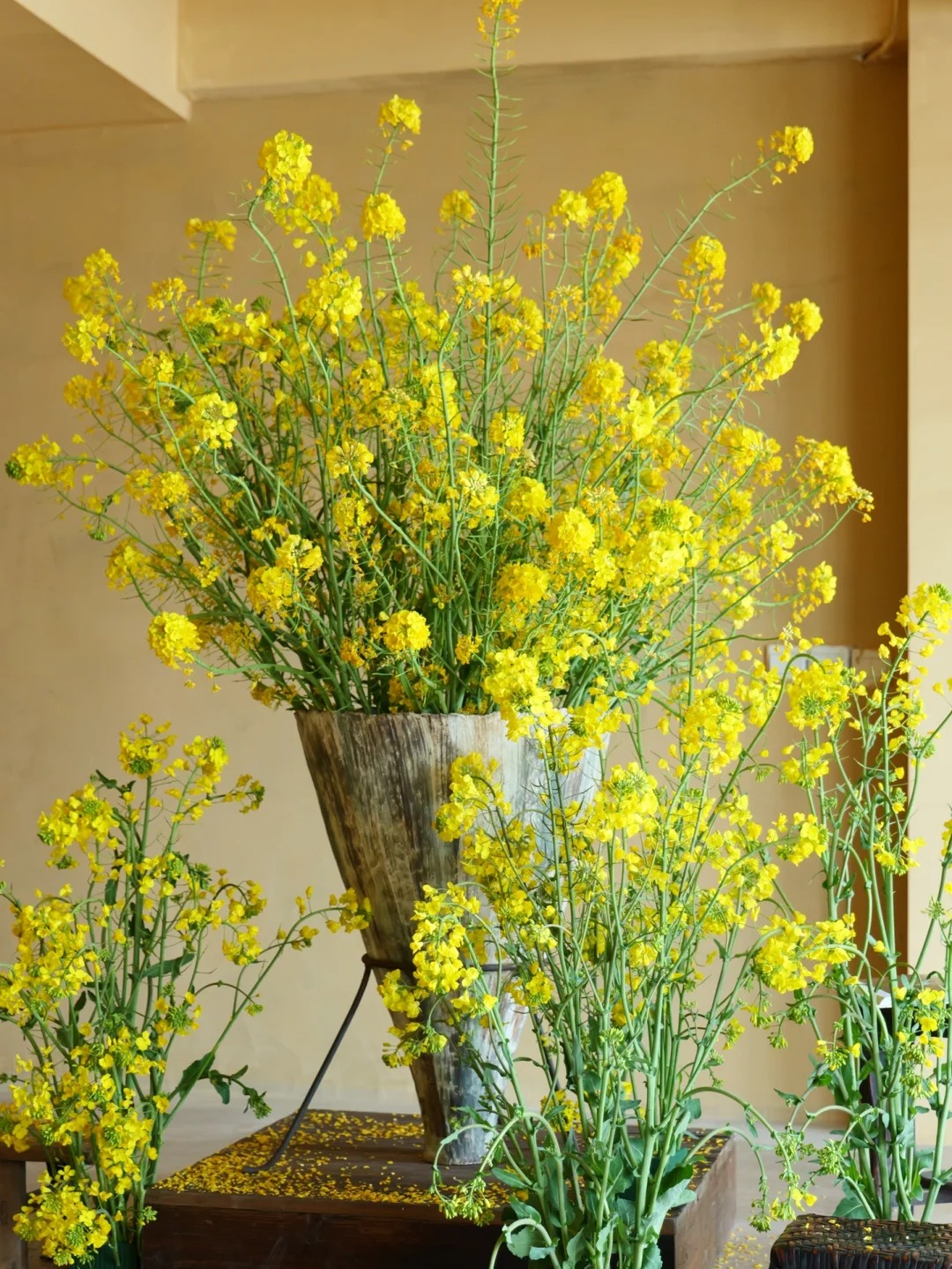 Th&aacute;ng 3 rước lộc v&agrave;o nh&agrave;: Tr&agrave;o lưu cắm hoa cải v&agrave;ng gi&uacute;p kh&ocirc;ng gian bừng s&aacute;ng, gom hết b&igrave;nh y&ecirc;n tuổi thơ v&agrave;o một g&oacute;c ph&ograve;ng- Ảnh 17.