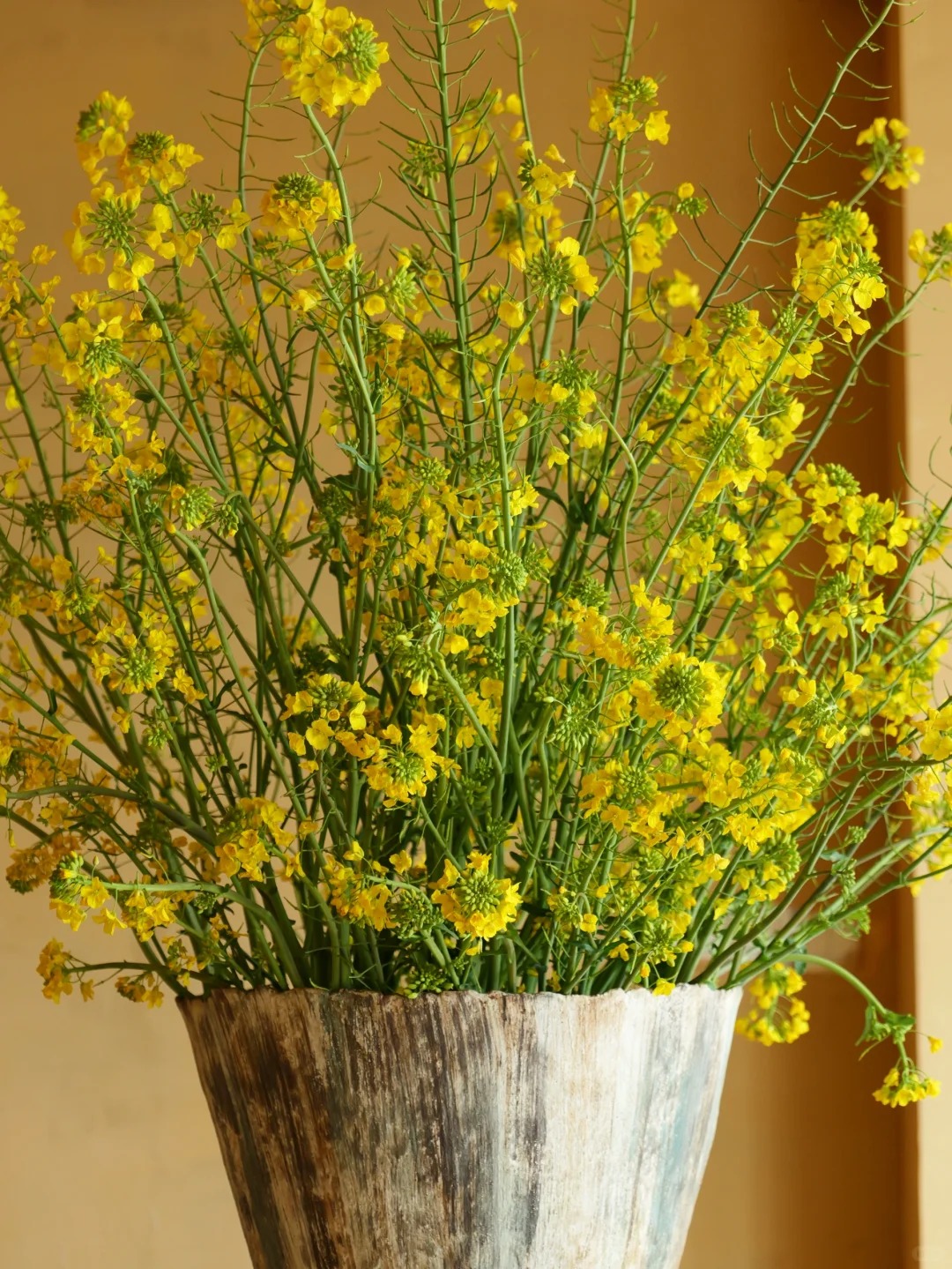 Th&aacute;ng 3 rước lộc v&agrave;o nh&agrave;: Tr&agrave;o lưu cắm hoa cải v&agrave;ng gi&uacute;p kh&ocirc;ng gian bừng s&aacute;ng, gom hết b&igrave;nh y&ecirc;n tuổi thơ v&agrave;o một g&oacute;c ph&ograve;ng- Ảnh 9.