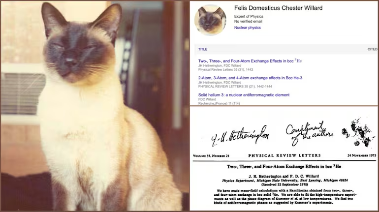 Ch&uacute; m&egrave;o uy&ecirc;n b&aacute;c nhất lịch sử l&agrave; đồng t&aacute;c giả 3 c&ocirc;ng tr&igrave;nh vật l&yacute; v&agrave; được mời l&agrave;m việc tại đại học- Ảnh 1.