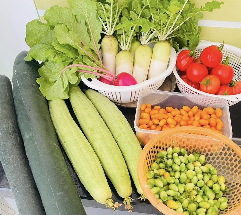 Ngắm khu vườn sân thượng “mùa nào thức nấy” rộng 85m2 của gia đình Đà Nẵng- Ảnh 11. Ngắm khu vườn sân thượng “mùa nào thức nấy” rộng 85m2 của gia đình Đà Nẵng- Ảnh 11.