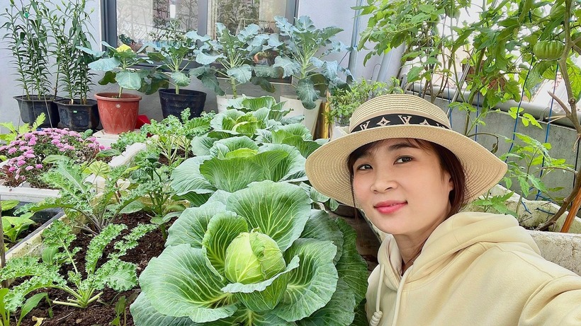 Ngắm khu vườn sân thượng “mùa nào thức nấy” rộng 85m2 của gia đình Đà Nẵng- Ảnh 12. Ngắm khu vườn sân thượng “mùa nào thức nấy” rộng 85m2 của gia đình Đà Nẵng- Ảnh 12.