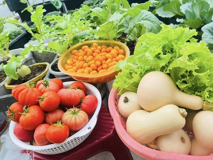 Ngắm khu vườn sân thượng “mùa nào thức nấy” rộng 85m2 của gia đình Đà Nẵng- Ảnh 4. Ngắm khu vườn sân thượng “mùa nào thức nấy” rộng 85m2 của gia đình Đà Nẵng- Ảnh 4.