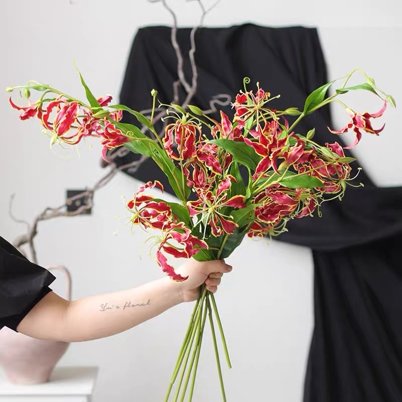 &Ocirc;ng b&agrave; dặn: Tuy rất đẹp nhưng đừng dại m&agrave; trồng 3 lo&agrave;i c&acirc;y n&agrave;y trong nh&agrave;, vừa xui rủi, vừa ảnh hưởng sức khỏe- Ảnh 1.