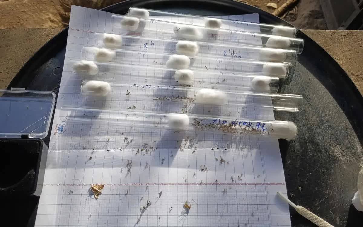 Ph&aacute;t hiện ca sốt r&eacute;t, cảnh b&aacute;o nguy cơ l&acirc;y lan cộng đồng- Ảnh 1.