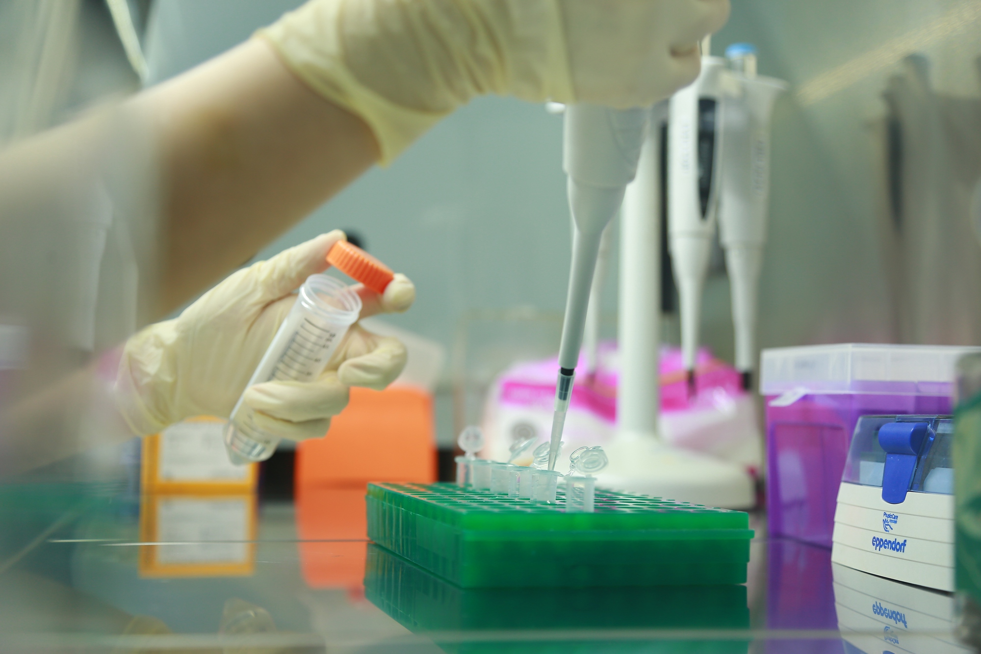 Lật mở th&acirc;n phận sau h&agrave;ng chục năm: X&eacute;t nghiệm ADN gi&uacute;p Việt kiều t&igrave;m lại nguồn cội- Ảnh 1.