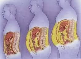 Mỡ thừa ở đ&acirc;y l&agrave; điều "đau n&atilde;o" nhất: Đẩy nhanh qu&aacute; tr&igrave;nh l&atilde;o h&oacute;a v&agrave; teo n&atilde;o- Ảnh 1.