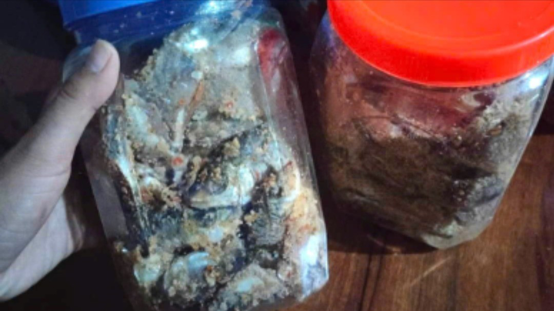 M&oacute;n c&aacute; ủ chua quen thuộc li&ecirc;n tiếp g&acirc;y ngộ độc: Lộ ''khoảng trống'' chết người trong chế biến- Ảnh 1.