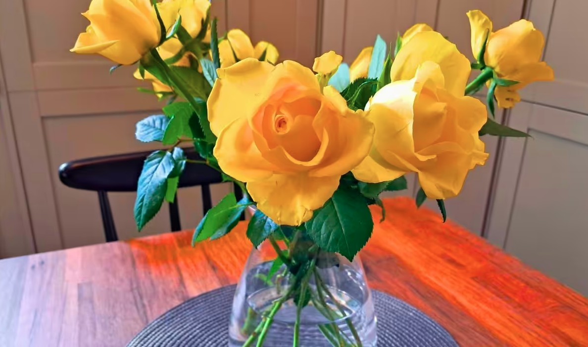 Mua hoa về cắm, đừng bao giờ đặt ở vị tr&iacute; n&agrave;y trong nh&agrave;- Ảnh 2.