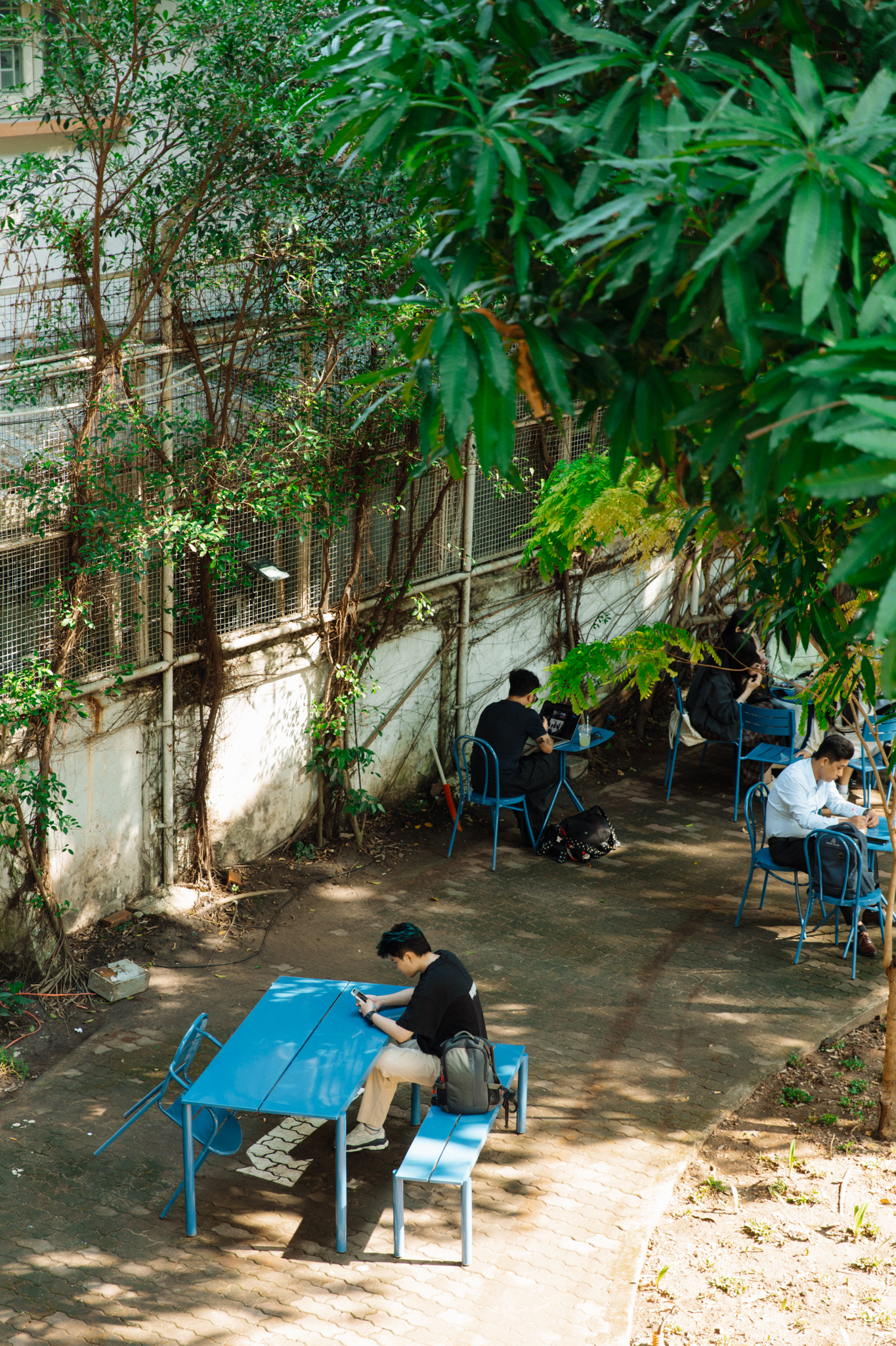Trụ sở mới của Nh&agrave; Văn h&oacute;a Thanh ni&ecirc;n: "T&ograve;a l&acirc;u đ&agrave;i cổ t&iacute;ch" 5.000m2 xanh mướt, từng l&agrave; trường học của giới thượng lưu- Ảnh 14.