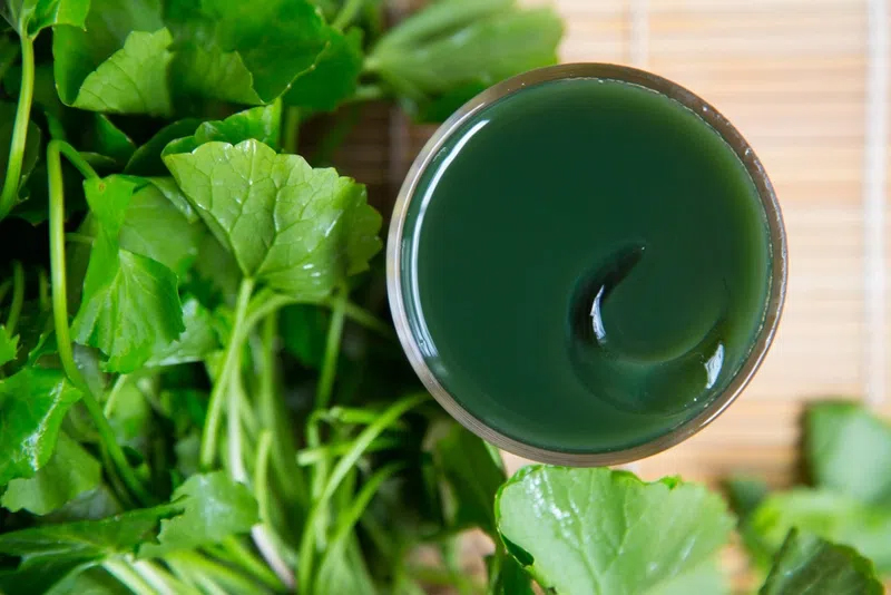 Nước rau m&aacute; c&oacute; t&aacute;c dụng g&igrave;?- Ảnh 3.