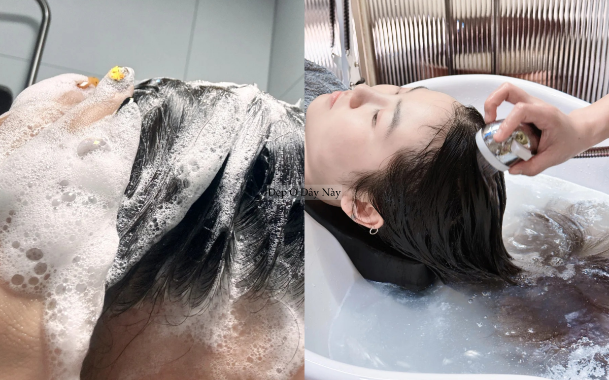 92% c&aacute;c chị em đều bỏ qua điều n&agrave;y khiến m&aacute;i t&oacute;c m&atilde;i x&aacute;c xơ, k&eacute;m đẹp- Ảnh 4.