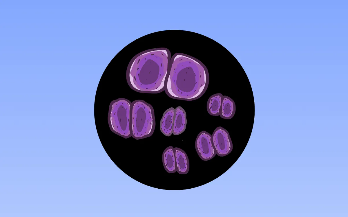 H&igrave;nh minh họa: Totok Haryanto