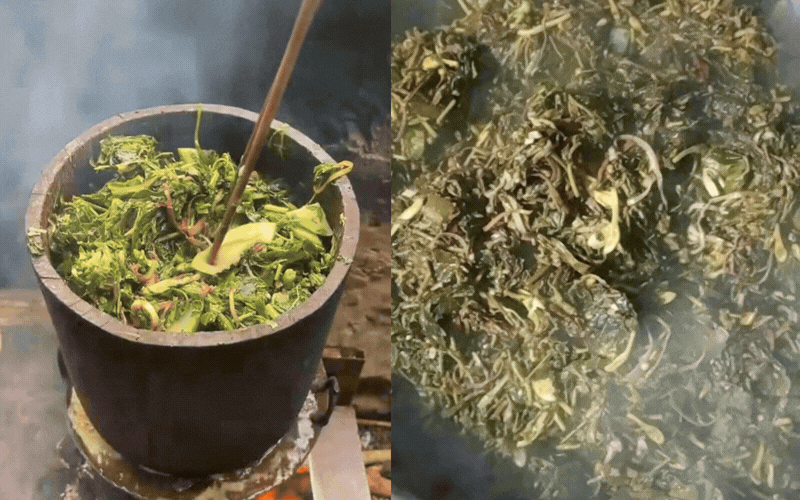 Đặc sản rẻ b&egrave;o ở H&ograve;a B&igrave;nh cũ to&agrave;n "l&aacute; nọ l&aacute; kia" m&agrave; người n&agrave;o đi xa nh&igrave;n thấy cũng đều tr&agrave;o nước mắt nhớ qu&ecirc;- Ảnh 1.