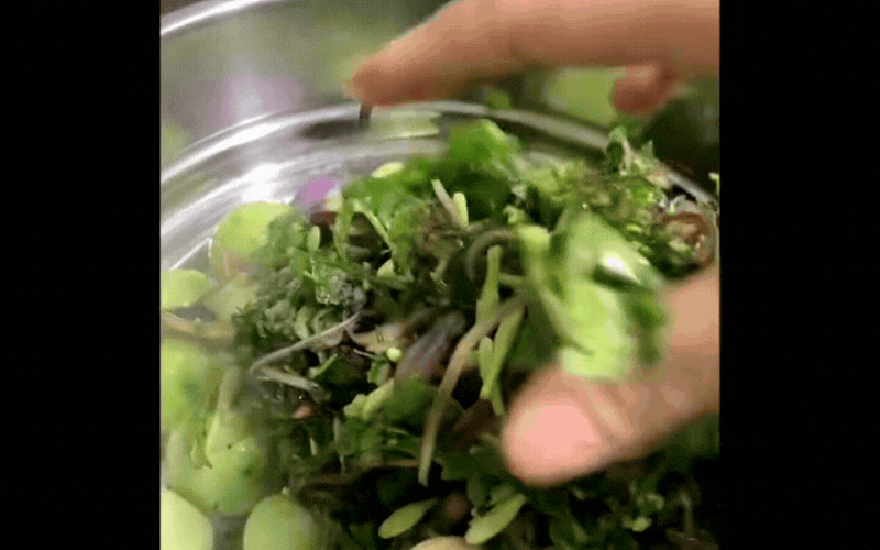 Đặc sản rẻ b&egrave;o ở H&ograve;a B&igrave;nh cũ to&agrave;n "l&aacute; nọ l&aacute; kia" m&agrave; người n&agrave;o đi xa nh&igrave;n thấy cũng đều tr&agrave;o nước mắt nhớ qu&ecirc;- Ảnh 4.