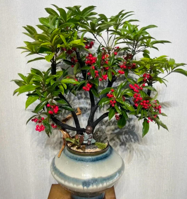 5 lo&agrave;i hoa nở 200 ng&agrave;y mỗi năm, kh&ocirc;ng biết mệt l&agrave; g&igrave;: Đẹp hơn hoa hồng, thơm hơn mộc hương, chăm cực dễ- Ảnh 5.