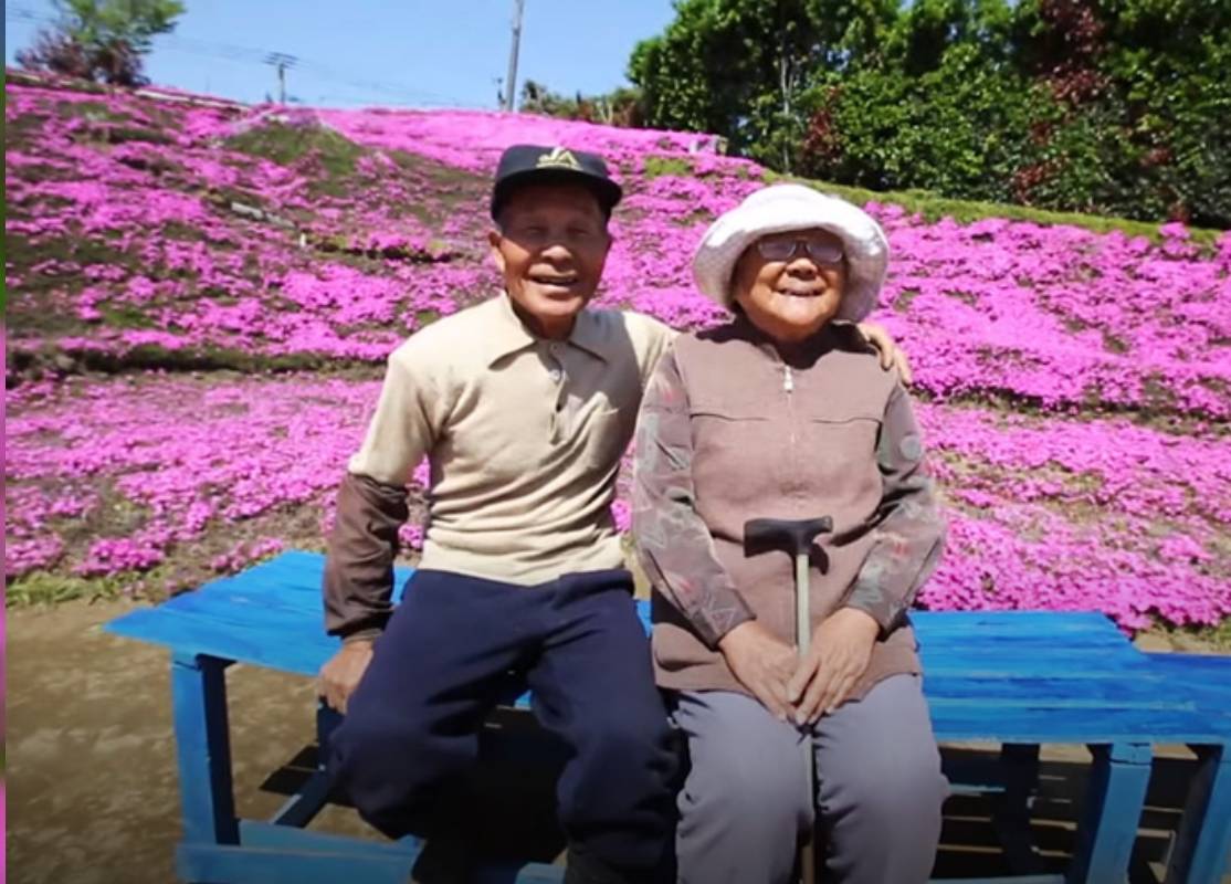 Cụ &ocirc;ng chăn b&ograve; r&ograve;ng r&atilde; 2 năm trời trồng c&aacute;nh đồng hoa để d&agrave;nh tặng người vợ m&ugrave;- Ảnh 2.