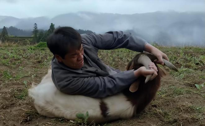 Đ&agrave;m T&ugrave;ng Vận ng&atilde; ngựa- Ảnh 4.