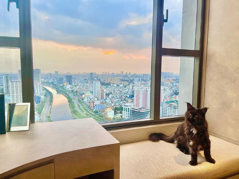 Cận cảnh căn hộ của Trấn Th&agrave;nh - Hari Won: Ngắm trọn th&agrave;nh phố từ view ban c&ocirc;ng, ri&ecirc;ng tiền nội thất ngốn 5 tỷ- Ảnh 2.