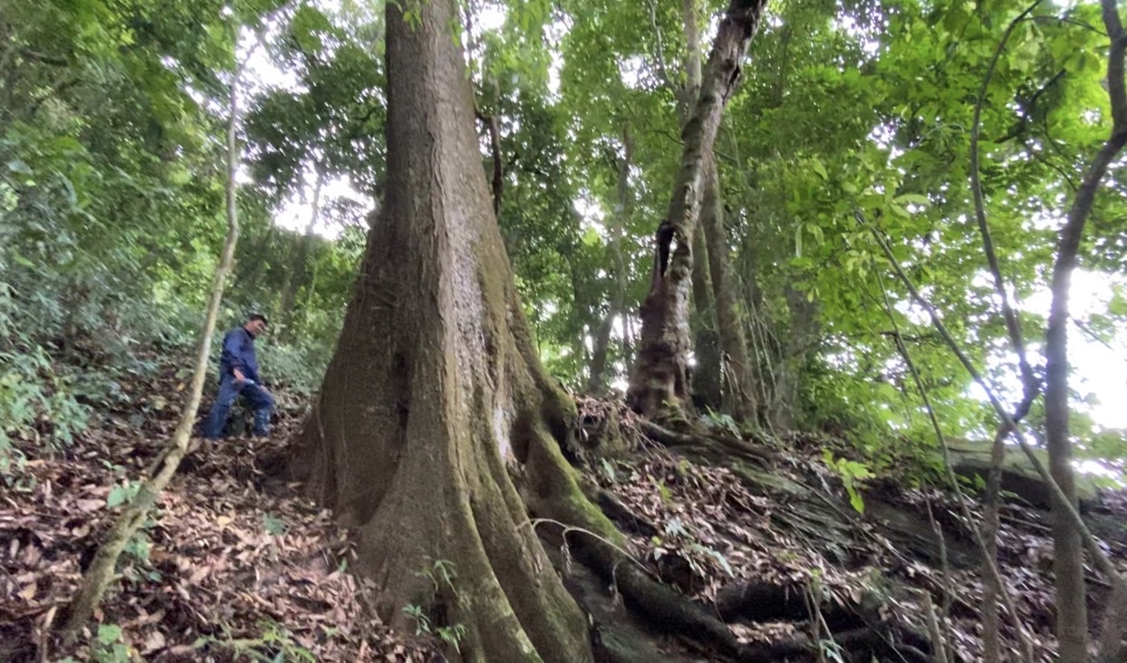 Việt Nam c&ocirc;ng bố ti&ecirc;u chuẩn mới cho du lịch mạo hiểm- Ảnh 3.