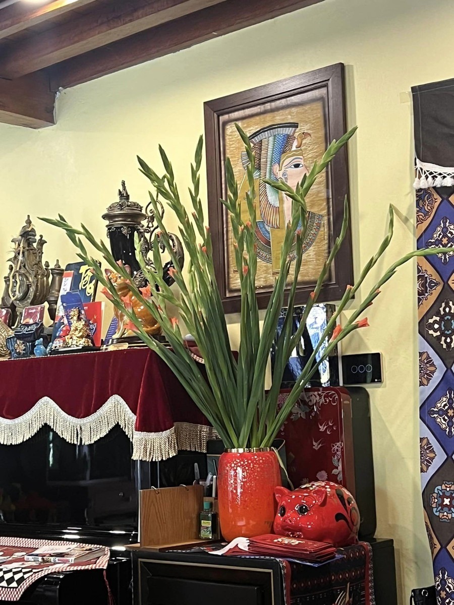 Cơ ngơi của NSND Xu&acirc;n Bắc: 4 mặt đều l&agrave; gỗ tự nhi&ecirc;n, rộng ng&agrave;n m&eacute;t vu&ocirc;ng chưa đi đ&atilde; thấy "lạc lối"- Ảnh 13.