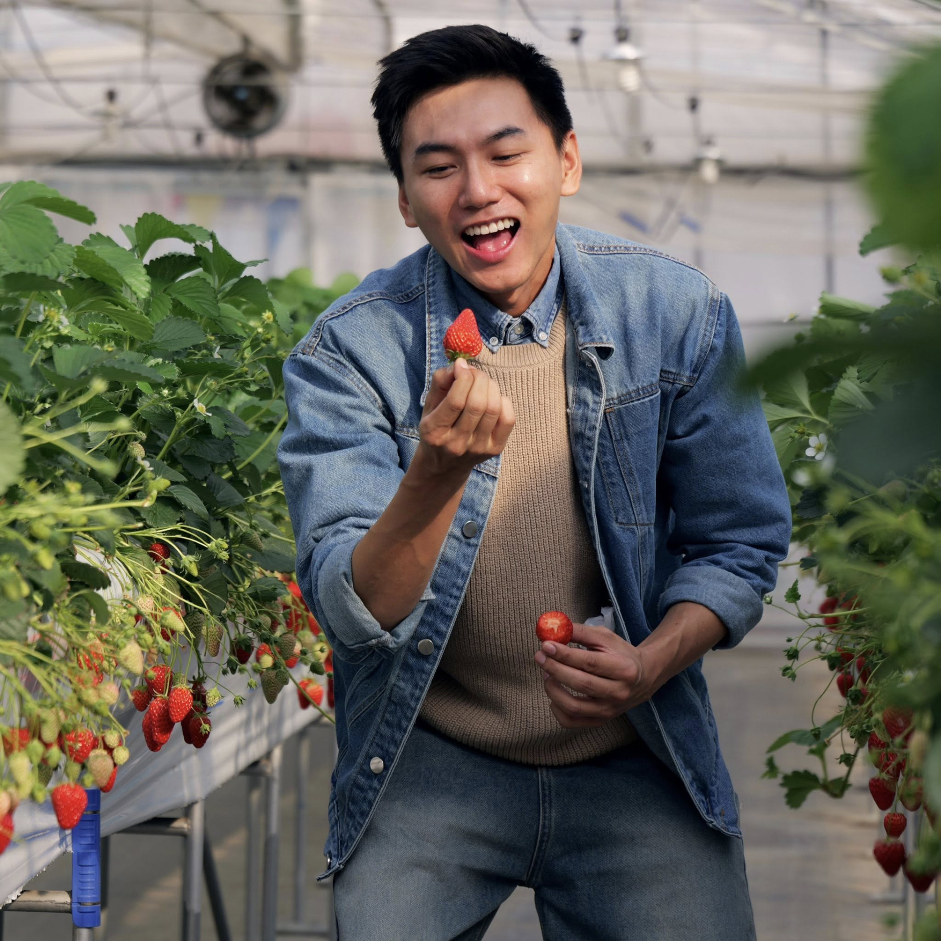 Khoai Lang Thang an ủi Jimin v&agrave; Jungkook (BTS) khi cả 2 bị chế ảnh "lỡ cả đời kh&ocirc;ng rực rỡ th&igrave; sao?"- Ảnh 5.