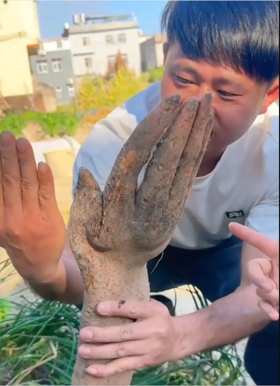 Đ&agrave;o được nguy&ecirc;n 