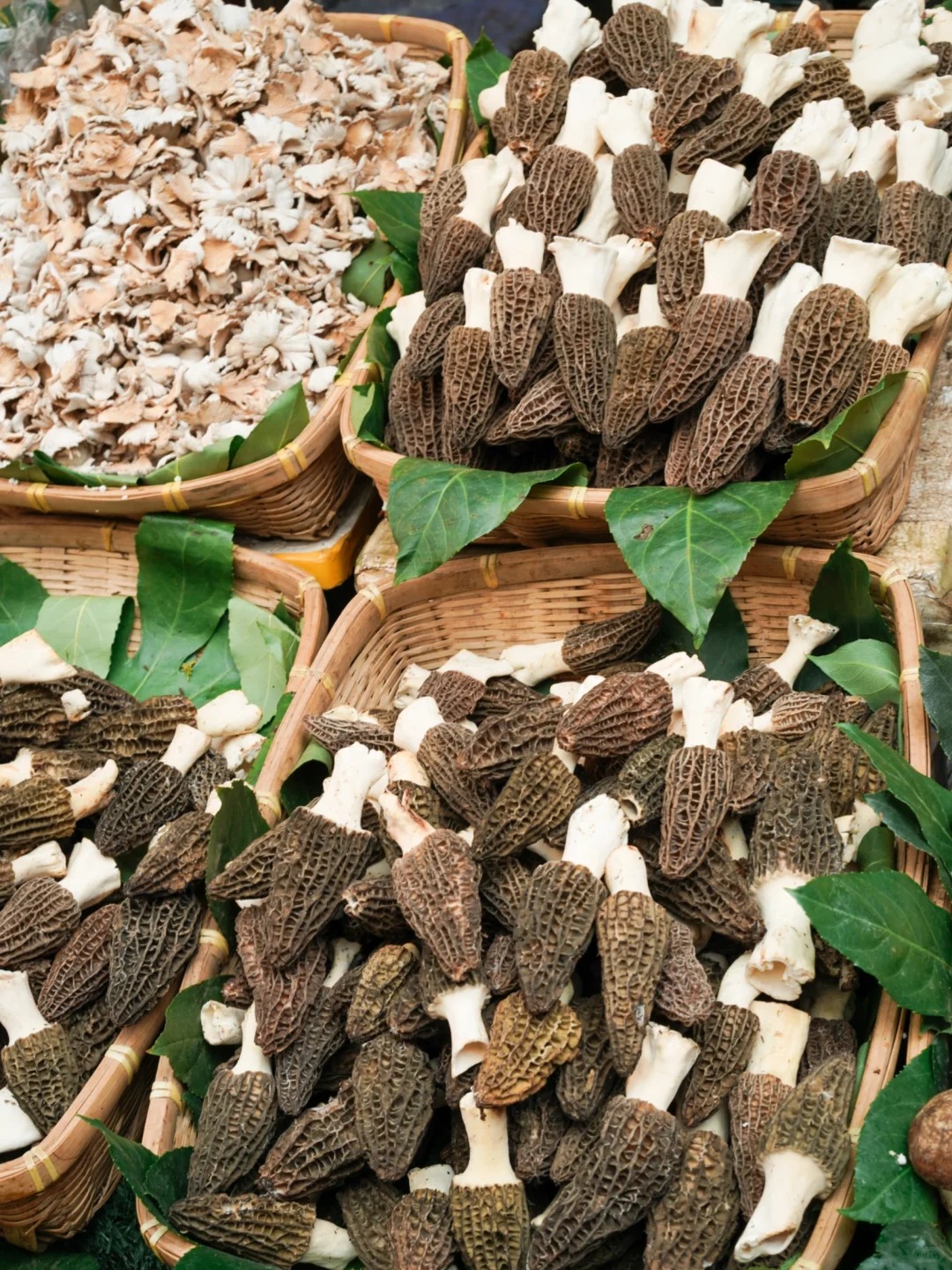 Bỏ qua những tour đắt đỏ, kh&aacute;ch Việt đi V&acirc;n Nam giờ chuộng mốt "b&aacute;m đu&ocirc;i" đầu bếp ra chợ n&ocirc;ng sản mua hoa về... x&agrave;o thịt- Ảnh 35.