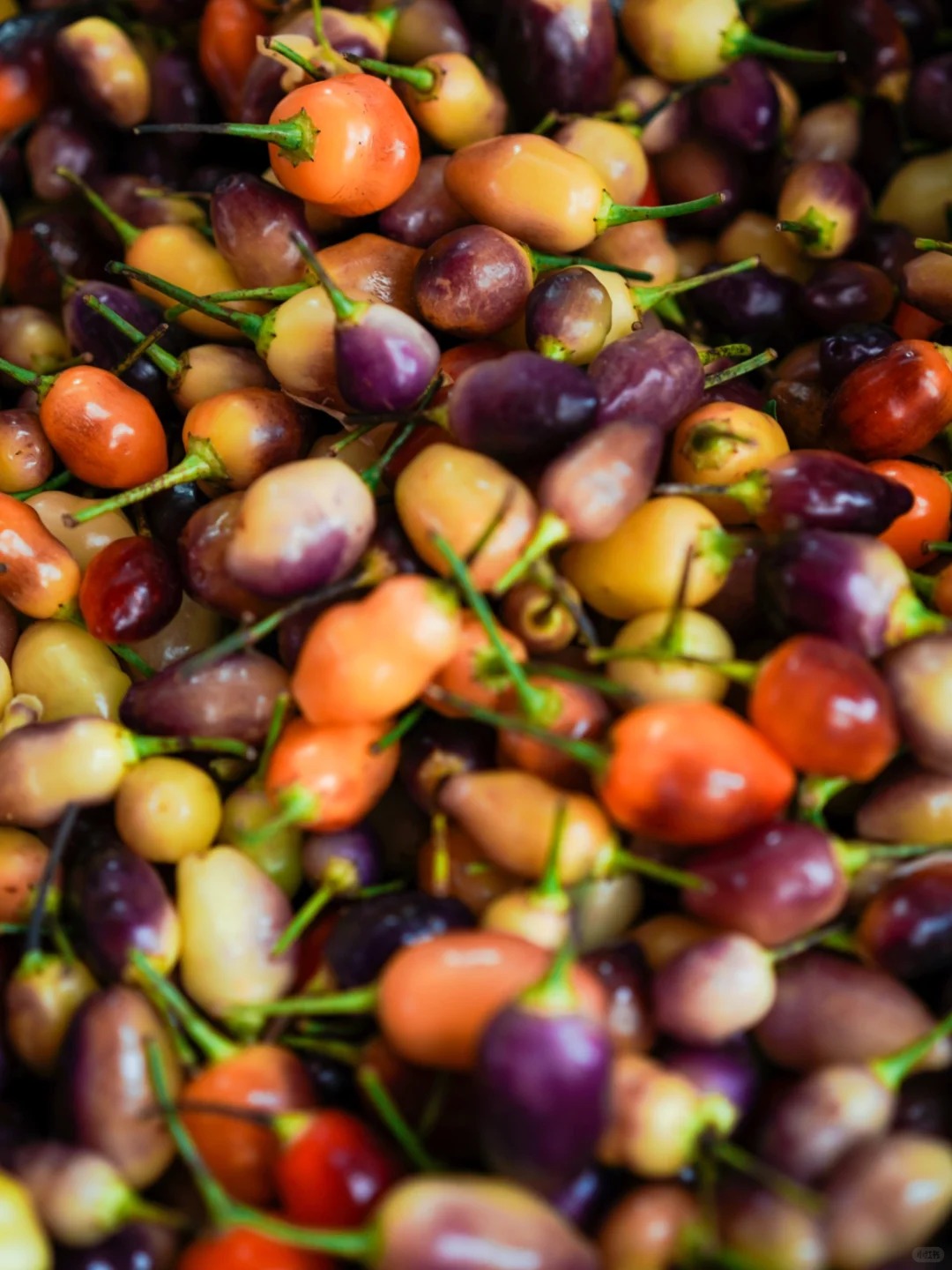 Bỏ qua những tour đắt đỏ, kh&aacute;ch Việt đi V&acirc;n Nam giờ chuộng mốt "b&aacute;m đu&ocirc;i" đầu bếp ra chợ n&ocirc;ng sản mua hoa về... x&agrave;o thịt- Ảnh 29.