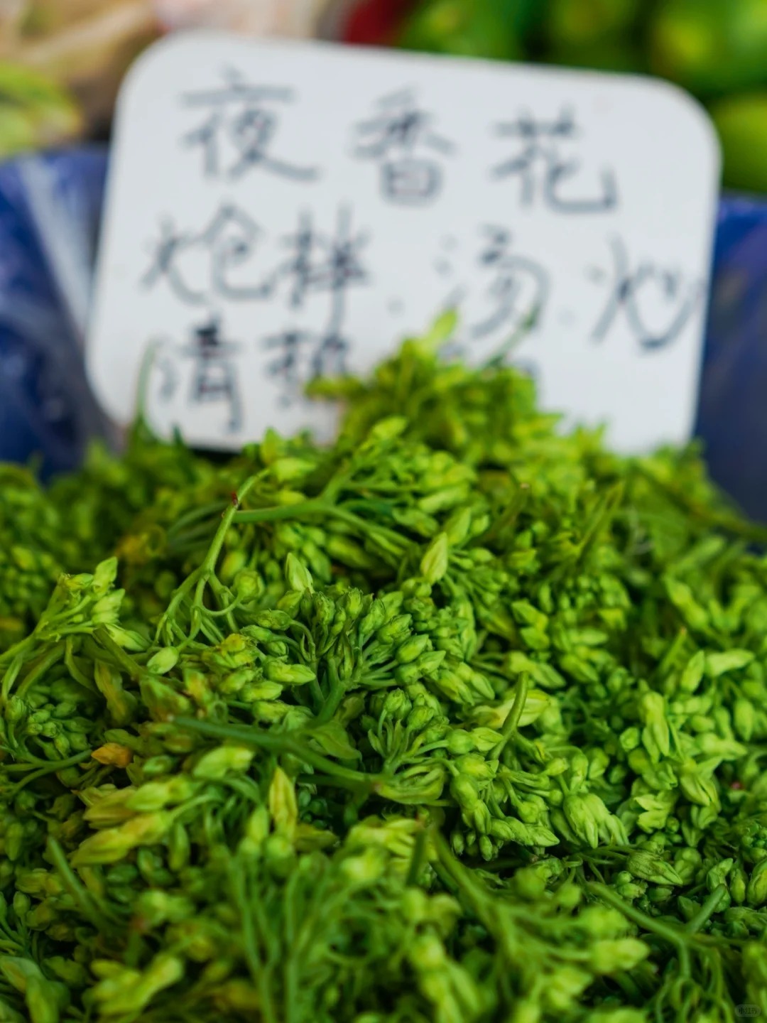 Bỏ qua những tour đắt đỏ, kh&aacute;ch Việt đi V&acirc;n Nam giờ chuộng mốt "b&aacute;m đu&ocirc;i" đầu bếp ra chợ n&ocirc;ng sản mua hoa về... x&agrave;o thịt- Ảnh 20.