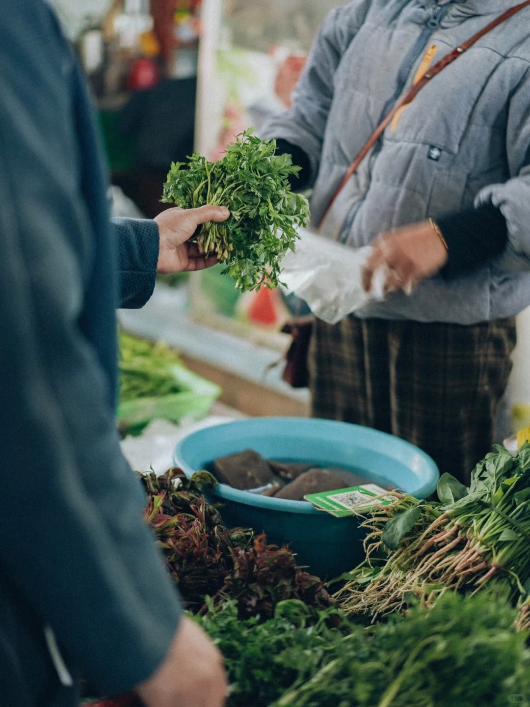 Bỏ qua những tour đắt đỏ, kh&aacute;ch Việt đi V&acirc;n Nam giờ chuộng mốt "b&aacute;m đu&ocirc;i" đầu bếp ra chợ n&ocirc;ng sản mua hoa về... x&agrave;o thịt- Ảnh 10.