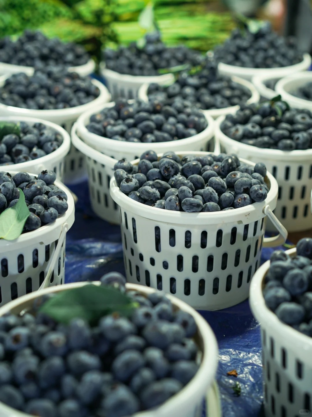 Bỏ qua những tour đắt đỏ, kh&aacute;ch Việt đi V&acirc;n Nam giờ chuộng mốt "b&aacute;m đu&ocirc;i" đầu bếp ra chợ n&ocirc;ng sản mua hoa về... x&agrave;o thịt- Ảnh 28.