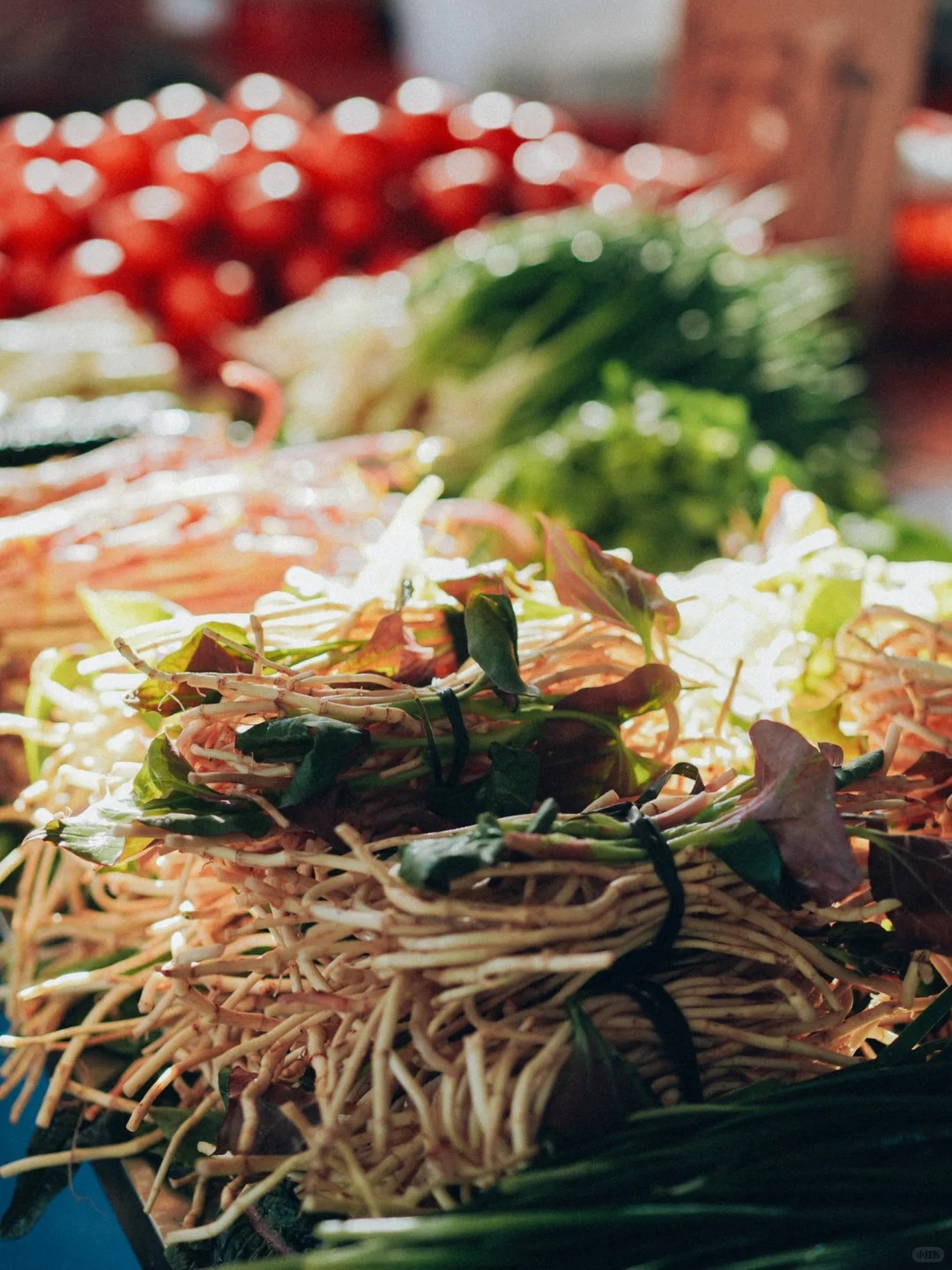 Bỏ qua những tour đắt đỏ, kh&aacute;ch Việt đi V&acirc;n Nam giờ chuộng mốt "b&aacute;m đu&ocirc;i" đầu bếp ra chợ n&ocirc;ng sản mua hoa về... x&agrave;o thịt- Ảnh 4.