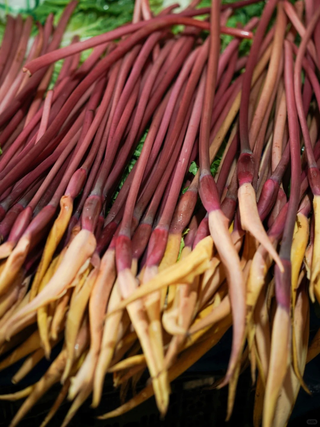 Bỏ qua những tour đắt đỏ, kh&aacute;ch Việt đi V&acirc;n Nam giờ chuộng mốt "b&aacute;m đu&ocirc;i" đầu bếp ra chợ n&ocirc;ng sản mua hoa về... x&agrave;o thịt- Ảnh 31.