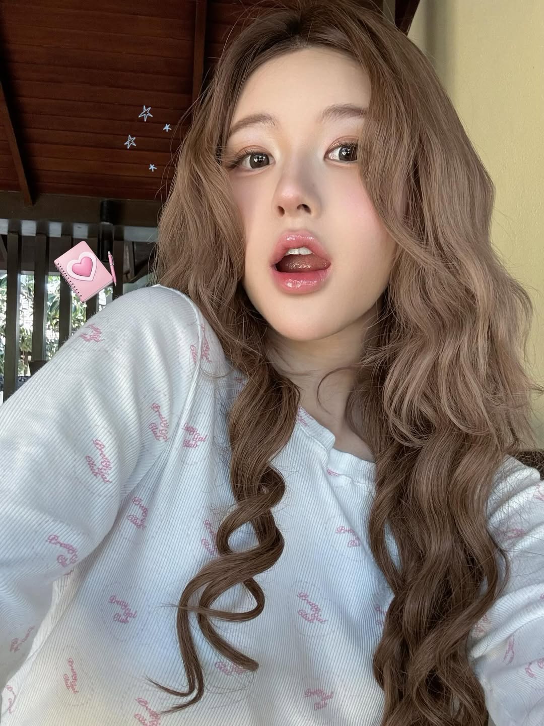 Gương mặt g&acirc;y l&uacute; của Triệu Lộ Tư- Ảnh 2.