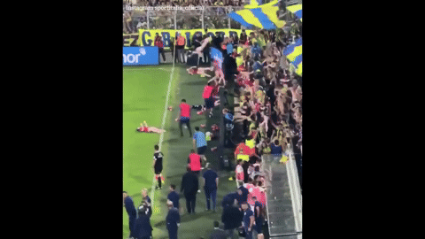 Fan qu&aacute; kh&iacute;ch c&oacute; thể đi&ecirc;n rồ tới mức n&agrave;y: Đem loạt b&uacute;p b&ecirc; "người lớn" n&eacute;m r&agrave;o r&agrave;o xuống s&acirc;n, ph&aacute; hỏng trận đấu của "thi&ecirc;n thần" Di Mar&iacute;a- Ảnh 2.