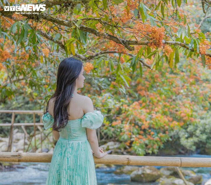 M&ugrave;a v&agrave;ng anh 'thắp nắng' giữa Phong Nha - Kẻ B&agrave;ng- Ảnh 10.