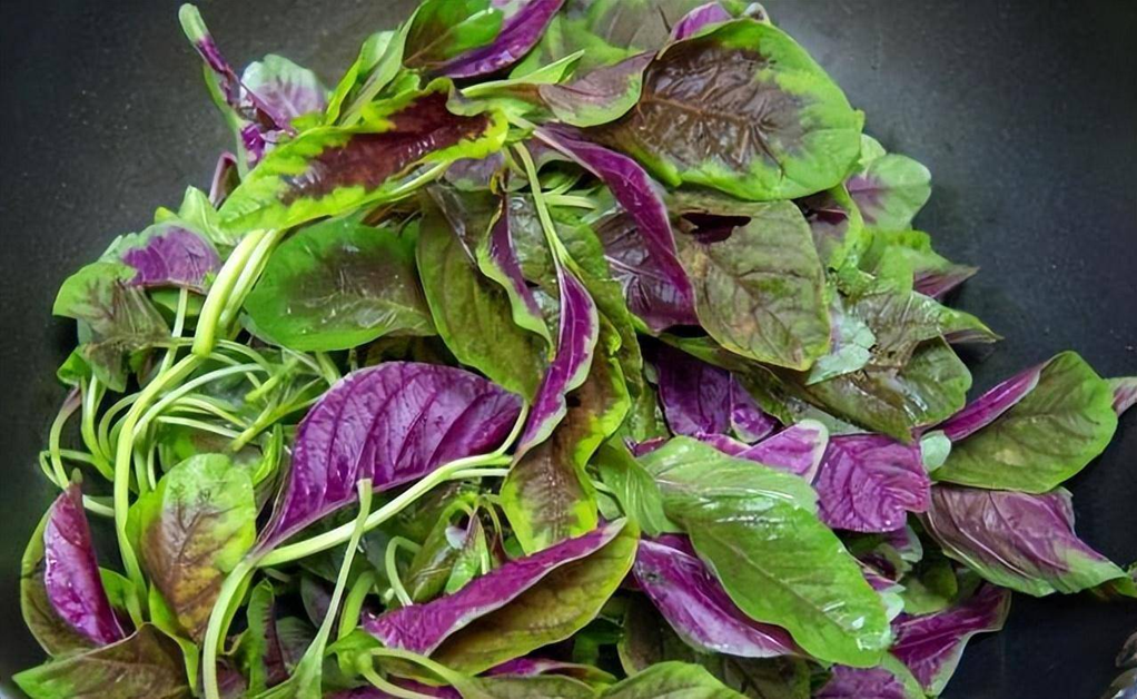 5 loại rau rất &iacute;t bị phun thuốc trừ s&acirc;u, ăn cực ngon miệng, chợ Việt b&aacute;n chỉ v&agrave;i ng&agrave;n một mớ- Ảnh 2.