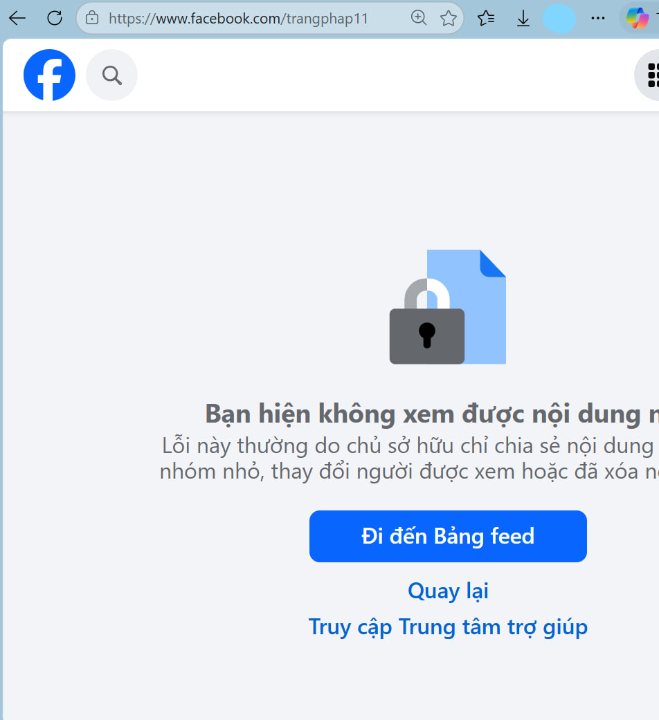 Trang Ph&aacute;p "biến mất", kho&aacute; to&agrave;n bộ trang MXH- Ảnh 3.
