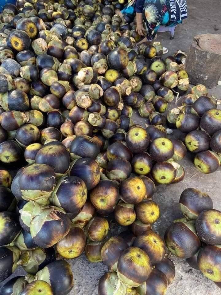 5 loại tr&aacute;i c&acirc;y đặc sản miền T&acirc;y, cả nước hiếm nơi t&igrave;m thấy- Ảnh 3.