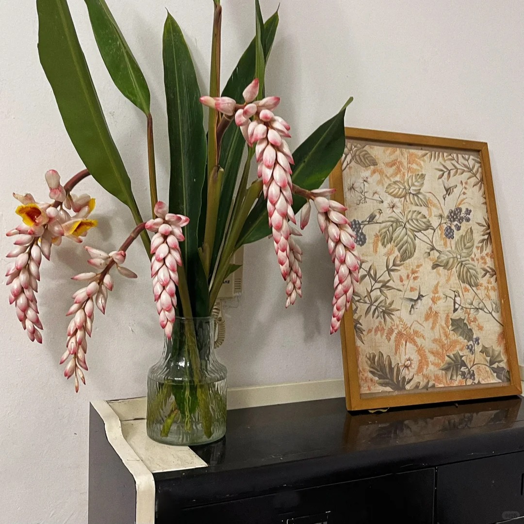 Riềng ấm đang v&agrave;o m&ugrave;a, được nhiều chị em săn l&ugrave;ng mua về cắm chưng nh&agrave;: Loại hoa n&agrave;y c&oacute; g&igrave; đặc biệt?- Ảnh 2.