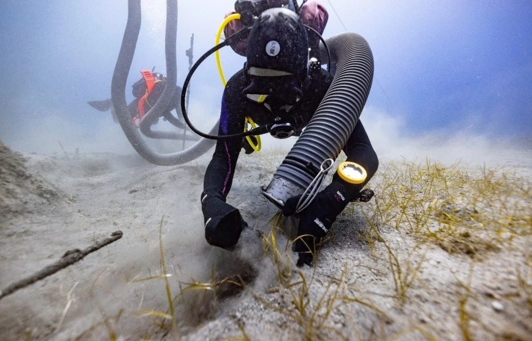 Đắm v&igrave; qu&aacute; tải b&aacute;u vật, &ldquo;t&agrave;u ma&rdquo; Mentor nổi tiếng để lộ thứ đ&aacute;ng ch&uacute; &yacute;- Ảnh 1.