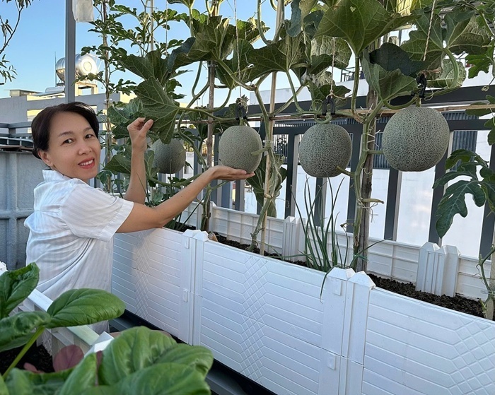 Vợ chồng ở TP.HCM g&acirc;y sốt với khu vườn tr&ecirc;n s&acirc;n thượng, vừa c&oacute; rau sạch ăn, vừa l&agrave; nơi "h&acirc;m n&oacute;ng" t&igrave;nh cảm cực l&atilde;ng mạn- Ảnh 1.