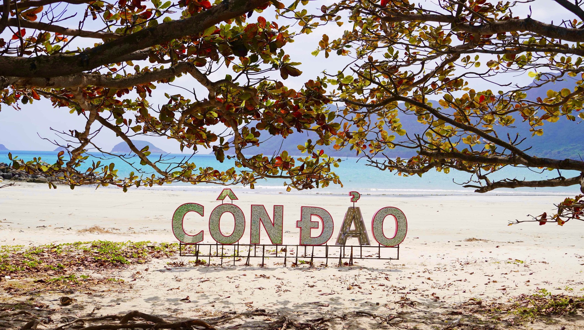 H&igrave;nh ảnh C&ocirc;n Đảo v&agrave;o "m&ugrave;a đẹp nhất năm"- Ảnh 1.