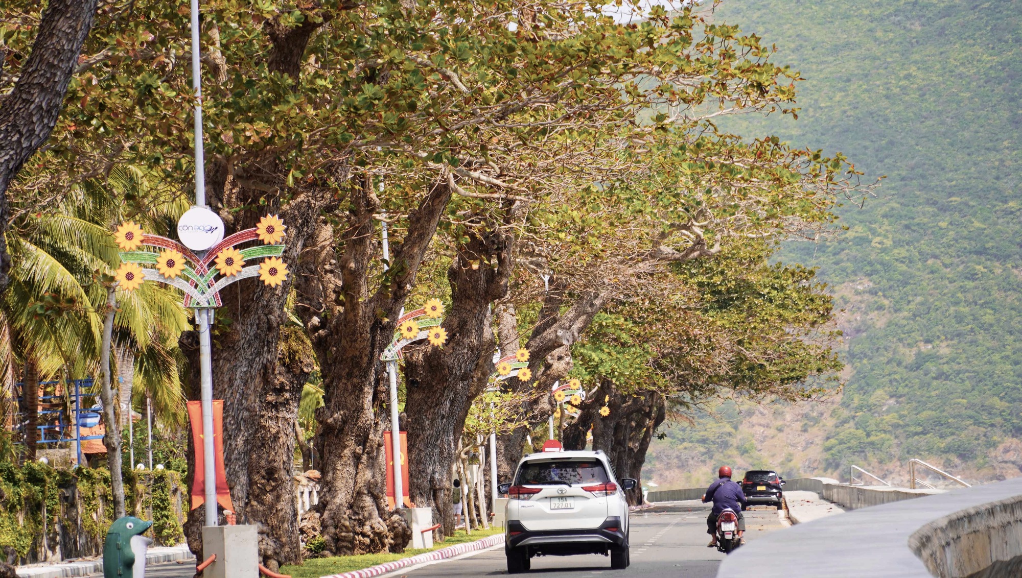 H&igrave;nh ảnh C&ocirc;n Đảo v&agrave;o "m&ugrave;a đẹp nhất năm"- Ảnh 7.