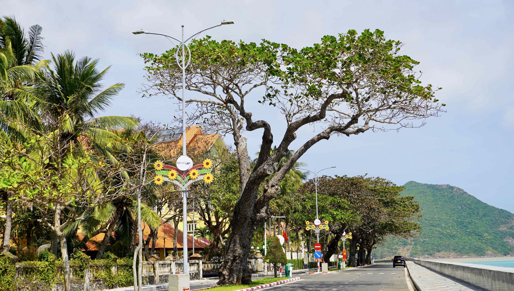 H&igrave;nh ảnh C&ocirc;n Đảo v&agrave;o "m&ugrave;a đẹp nhất năm"- Ảnh 10.